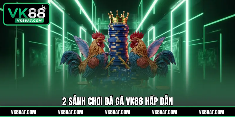 2 sảnh chơi đá gà VK88 hấp dẫn