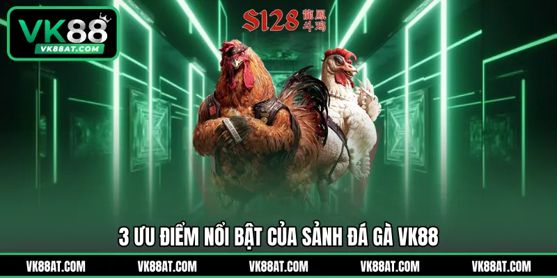3 ưu điểm nổi bật của sảnh đá gà VK88