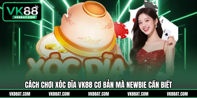 Cách chơi xóc đĩa VK88 cơ bản mà newbie cần biết