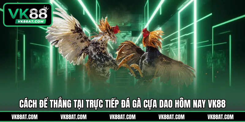 Cách để thắng tại trực tiếp đá gà cựa dao hôm nay VK88