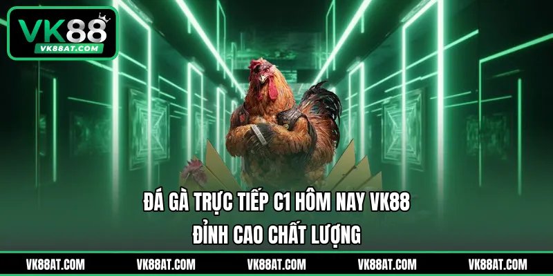 Đá Gà Trực Tiếp C1 Hôm Nay VK88