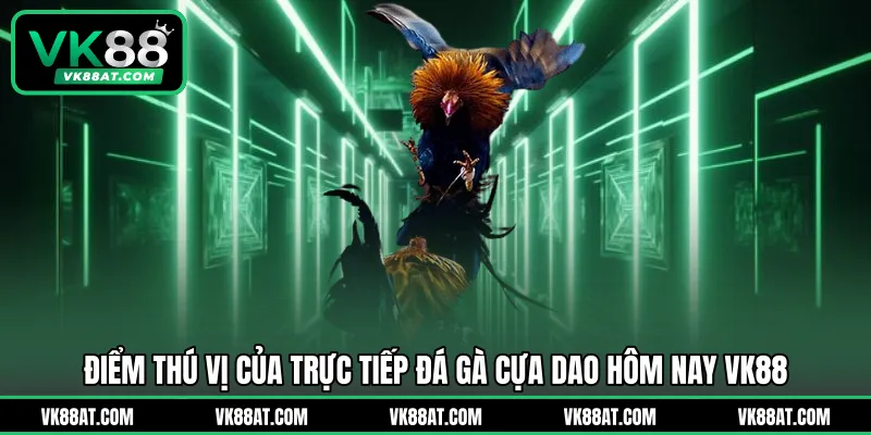 Điểm thú vị của trực tiếp đá gà cựa dao hôm nay VK88