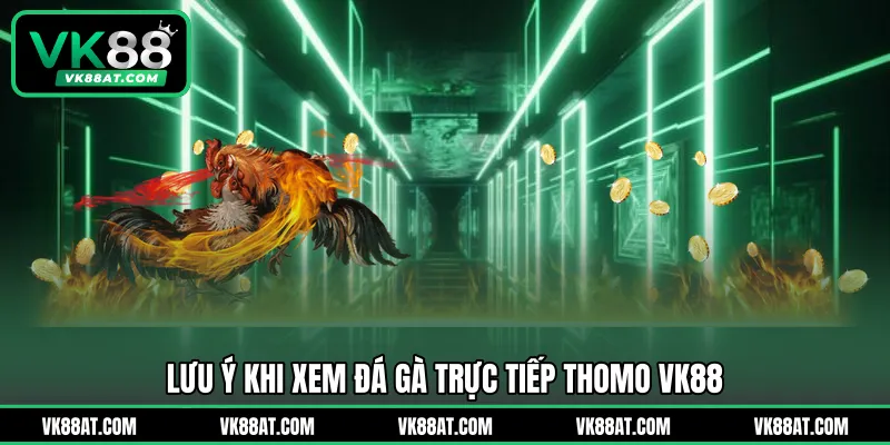 Lưu ý khi xem đá gà trực tiếp thomo VK88 