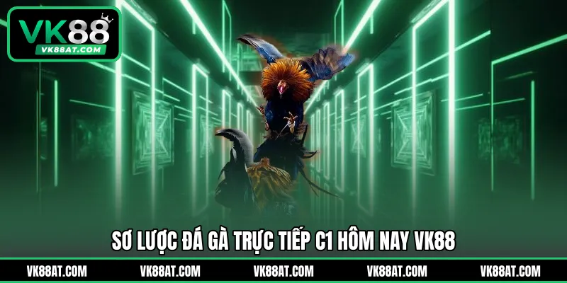 Sơ lược đá gà trực tiếp C1 hôm nay VK88