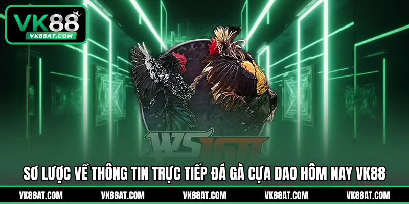 Sơ lược về thông tin trực tiếp đá gà cựa dao hôm nay VK88