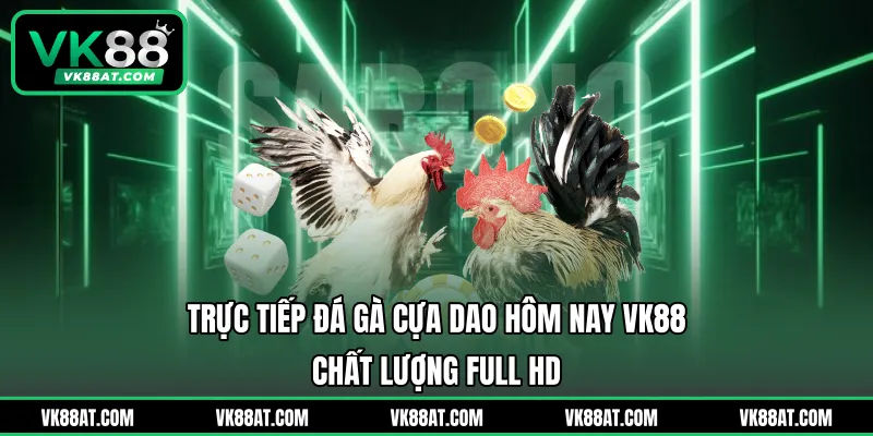 Trực Tiếp Đá Gà Cựa Dao Hôm Nay VK88